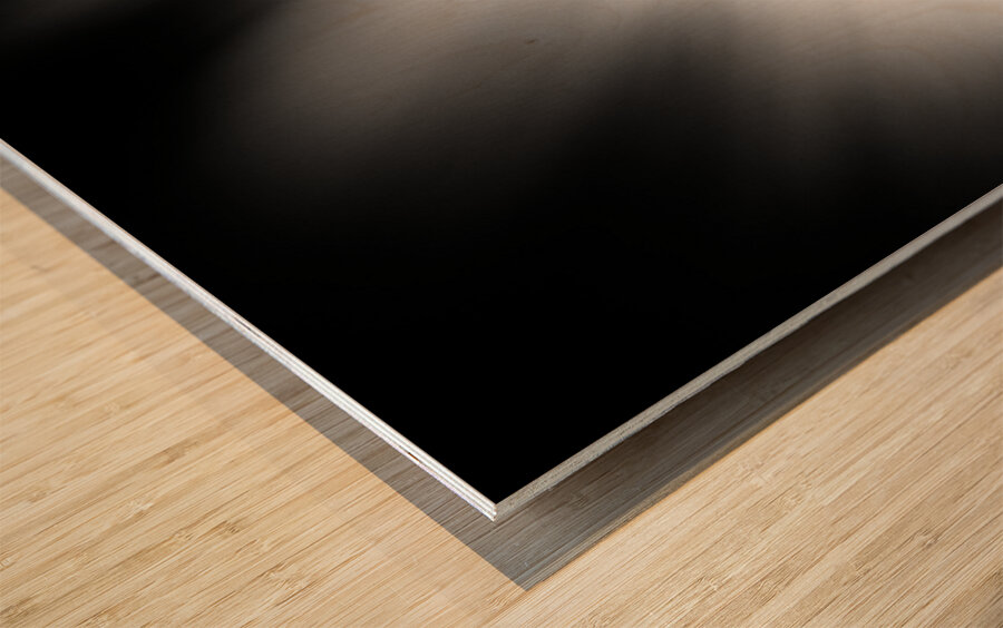 The RAI I Wood print