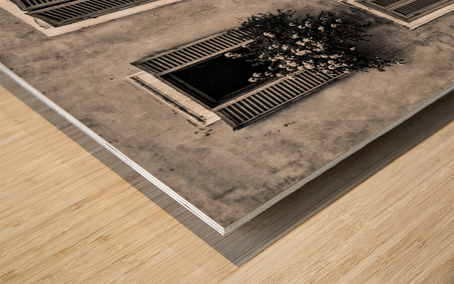 Four Windows Wood print