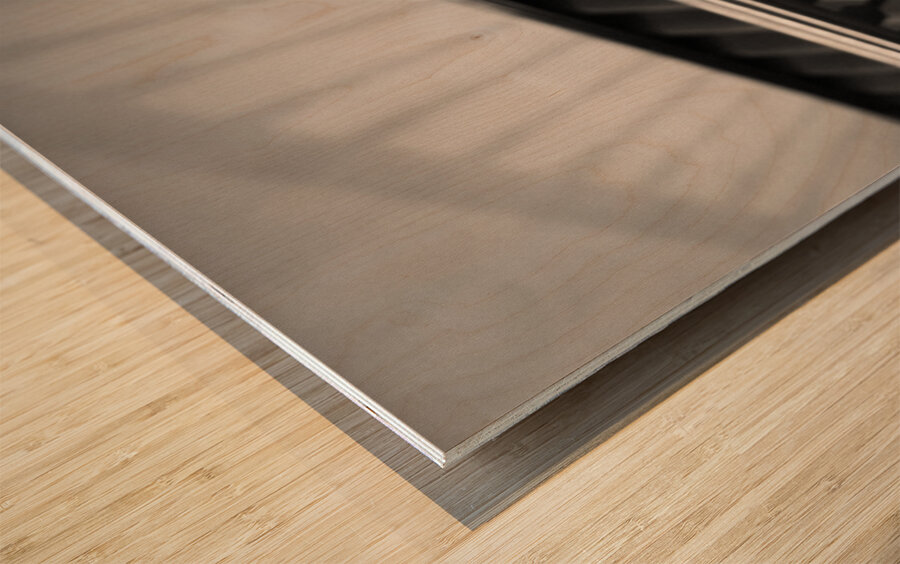 Blickling House Staircase Wood print