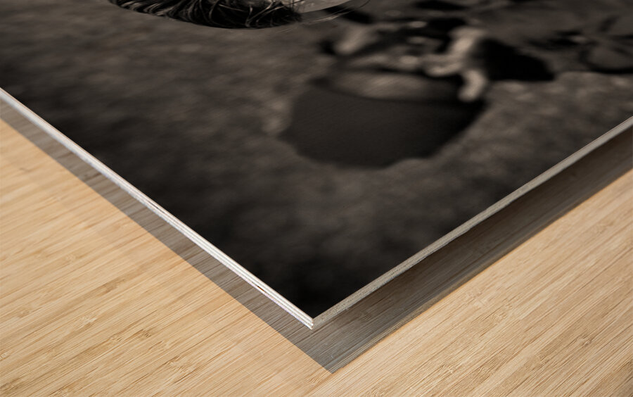 Different Lives Wood print