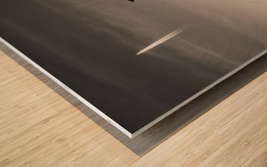 Weather Vane and Plane Wood print