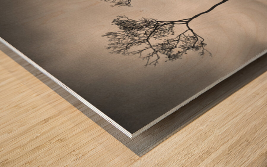 Lone Tree on Buttermere Wood print