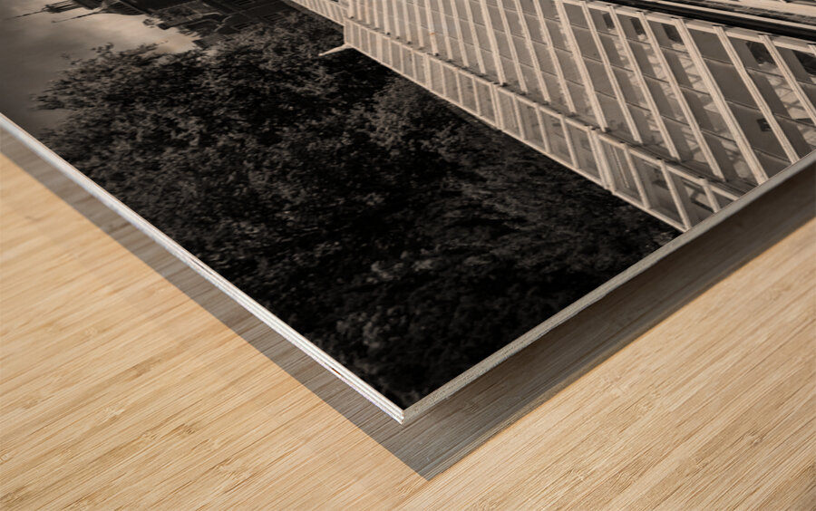 Blickling Estate Greenhouses Wood print