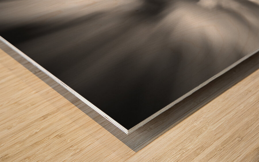 Sheringham Boating Lake Wood print