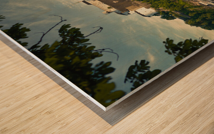 Hohensalzburg Fortress Wood print