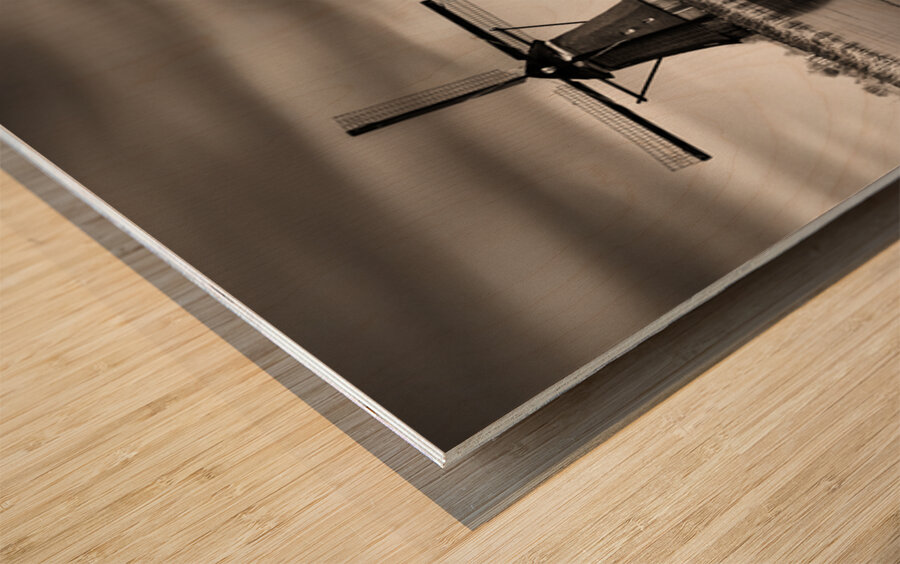 Kinderdijk Wood print