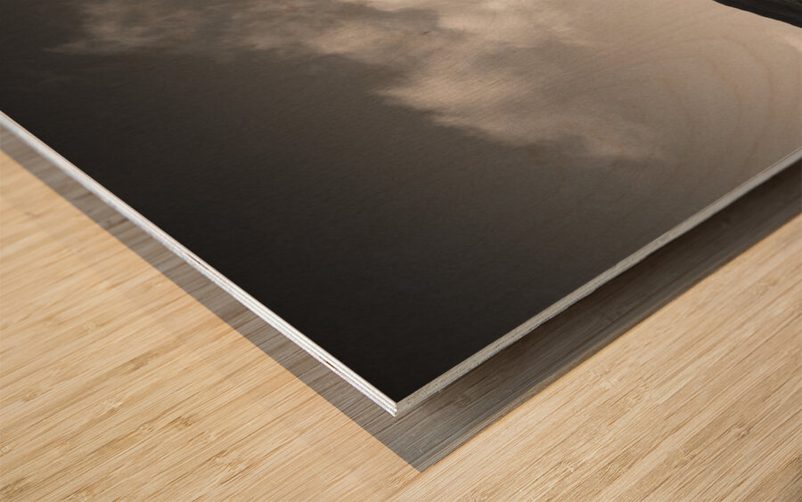 Balmeanach Wood print