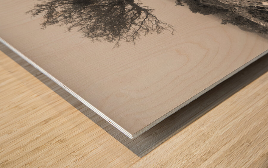 Dartmoor Tree Wood print