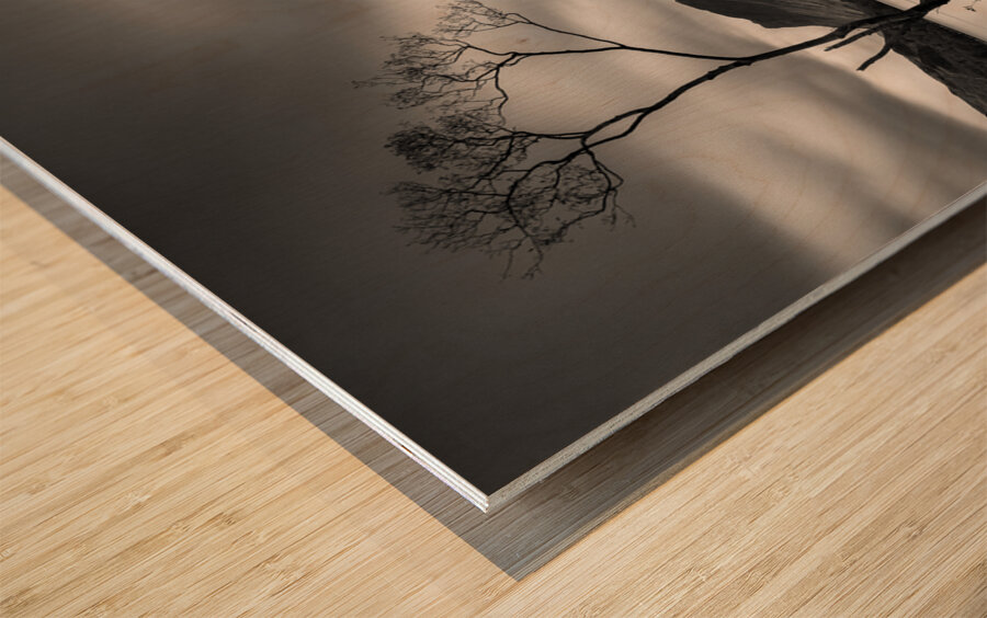 Buttermere Tree Wood print