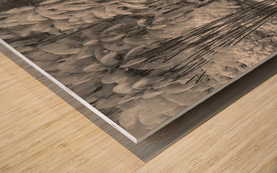 KLCC Park Bamboo Wood print