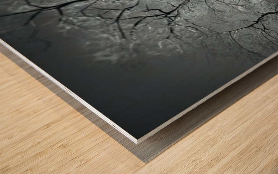 Winter in Central Park Impression sur bois