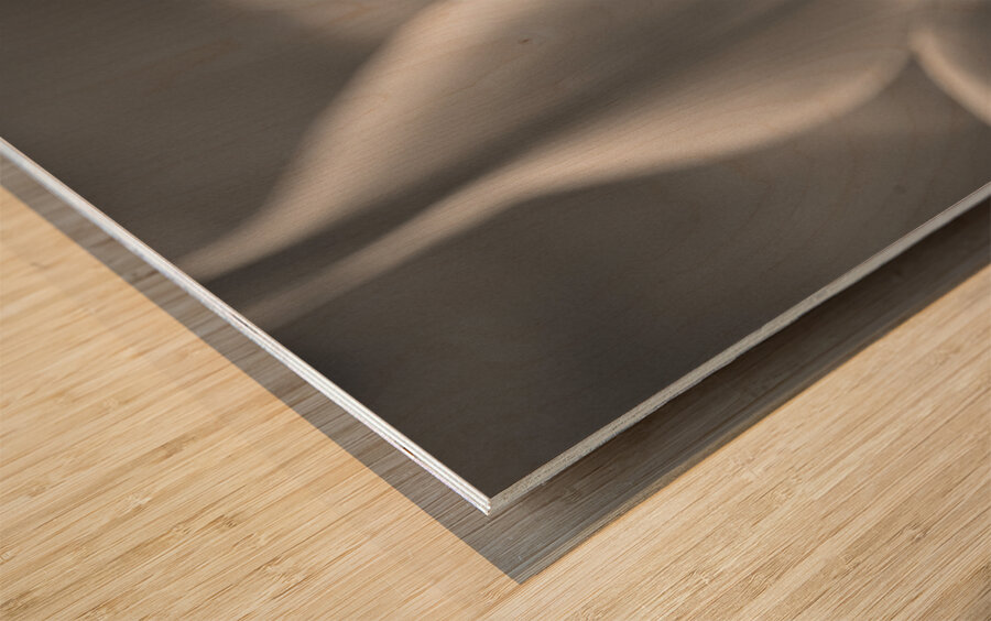 Tulip Pistil Wood print