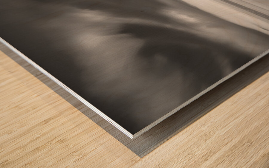 South Pier 2 Wood print