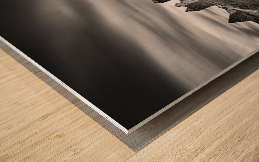 Ruthven Barracks Wood print