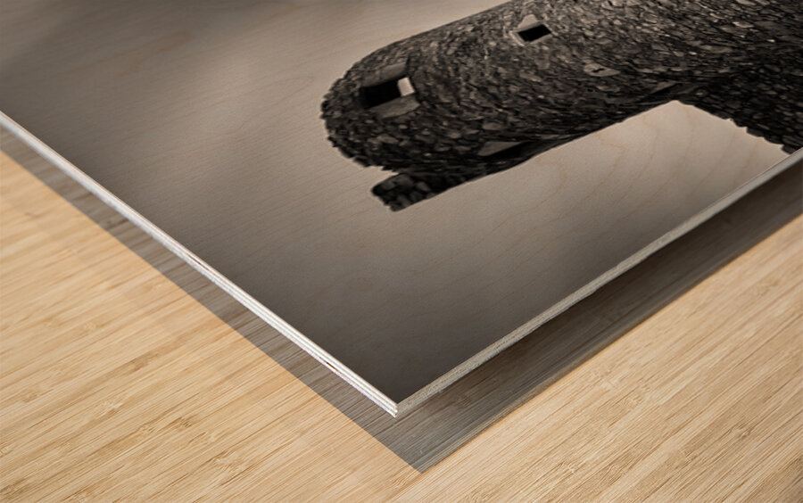 Kilchurn Castle Walls Wood print