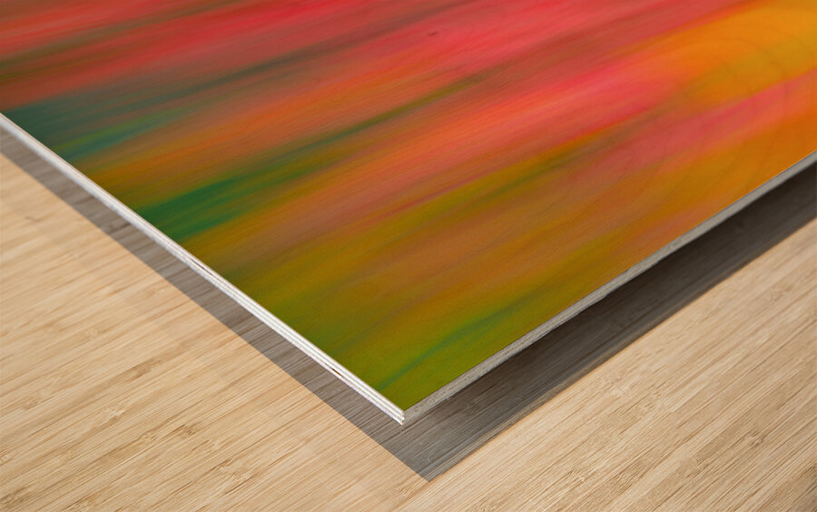 Tulips in Motion Wood print