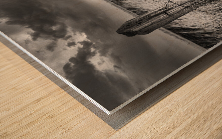 Path to Slains Castle Wood print