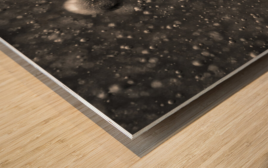 Microcosm Impression sur bois