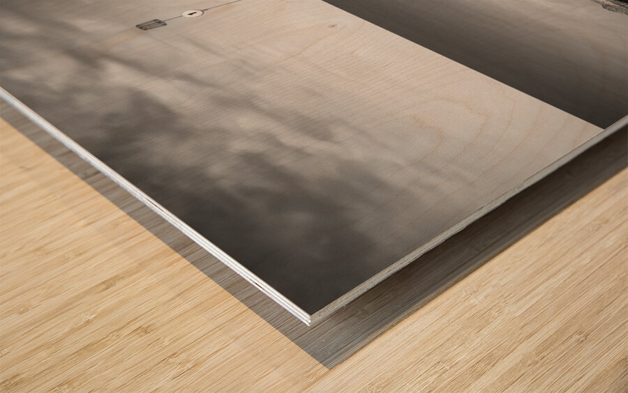 Hunstanton Groyne Marker Wood print