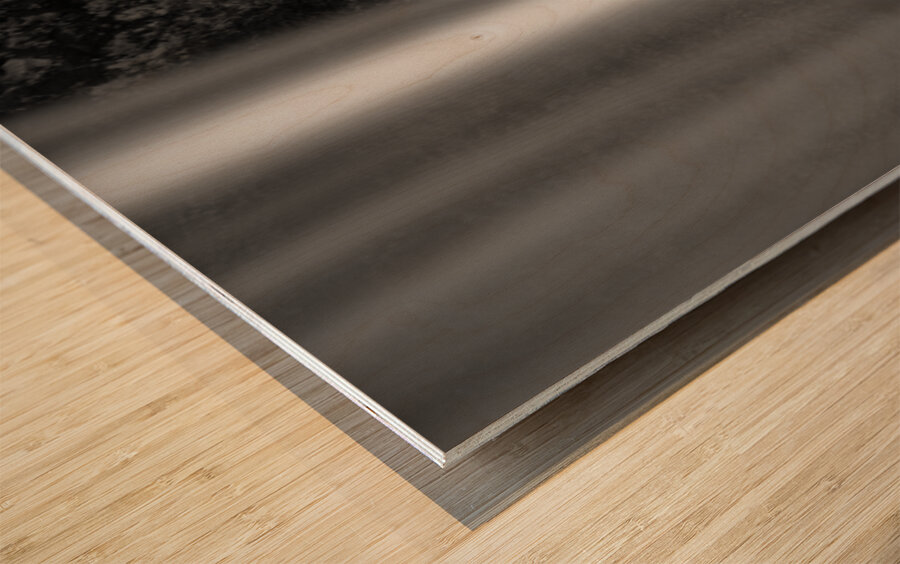 Seljalandsfoss II Wood print