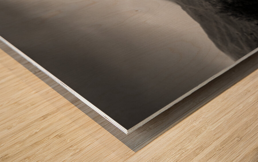 Bruces Stone Wood print