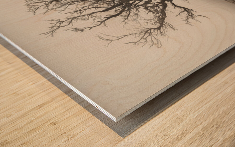 Dartmoor Solitude Impression sur bois