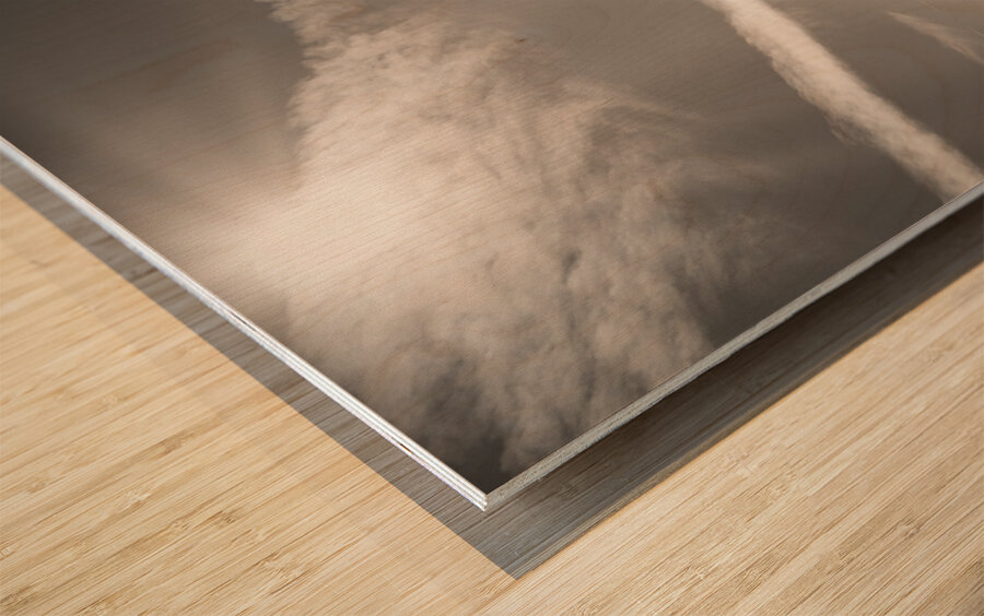 Golden Gate Silhouette Wood print