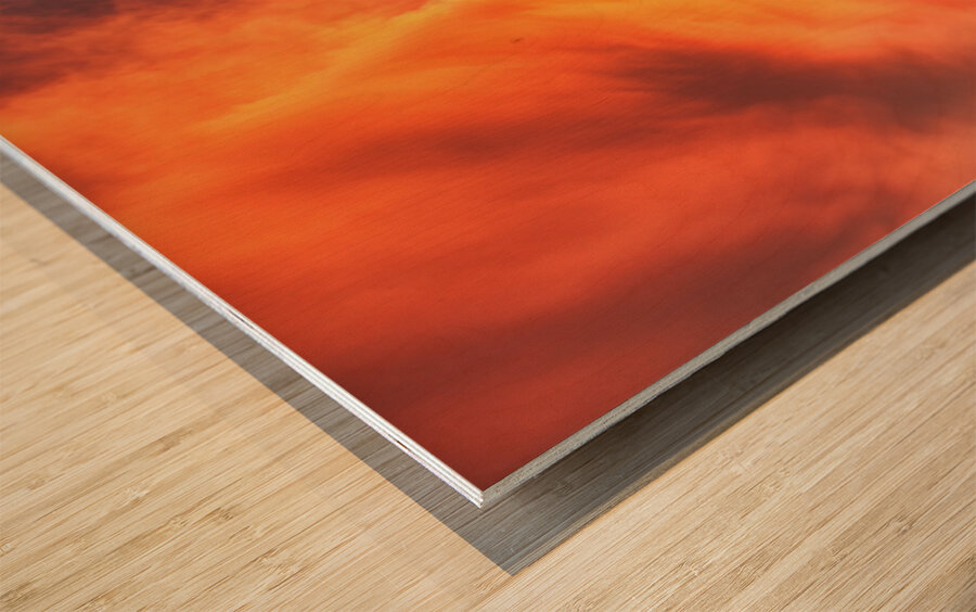 Jamaican Adventure Wood print