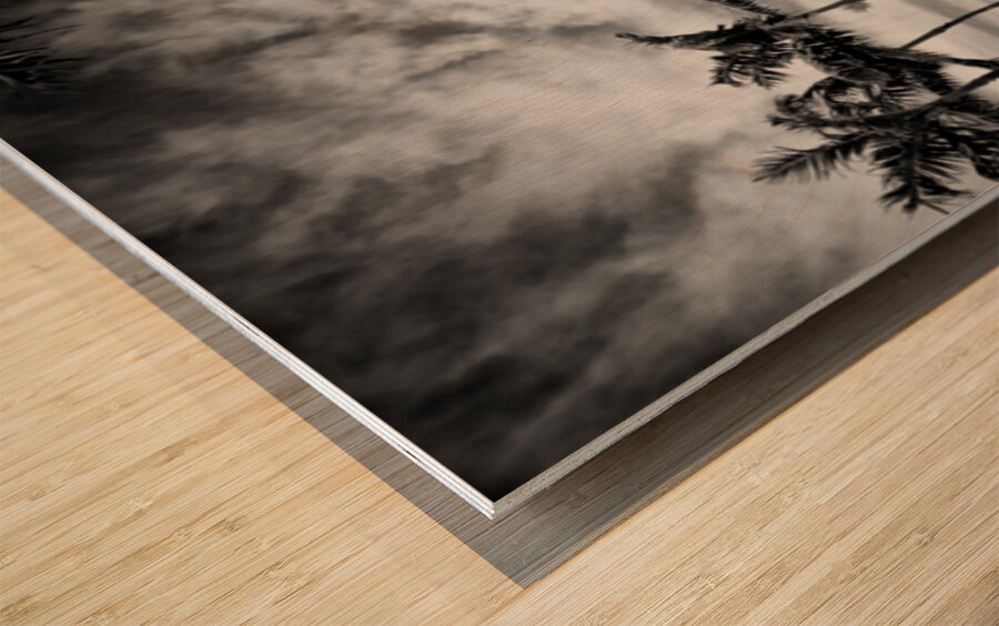 South Beach Cruiser Wood print