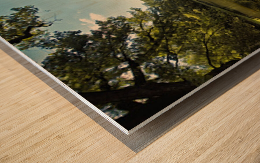 Burg Vischering Wood print