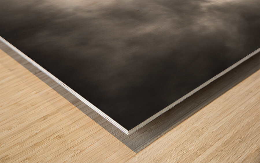 Valle Crucis Abbey Wood print