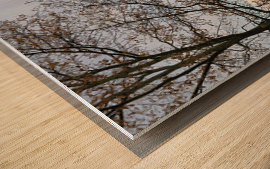 Edinburgh Castle Panorama Impression sur bois