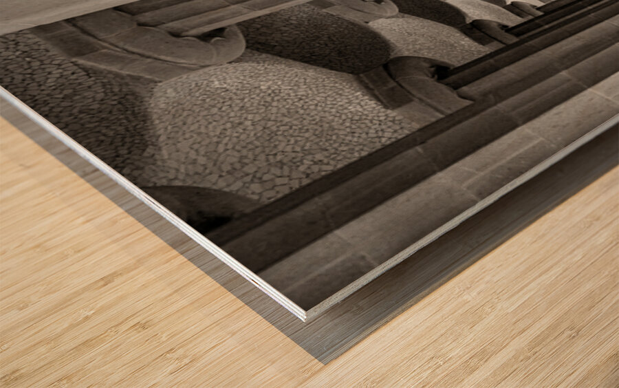 Between Pillars Wood print