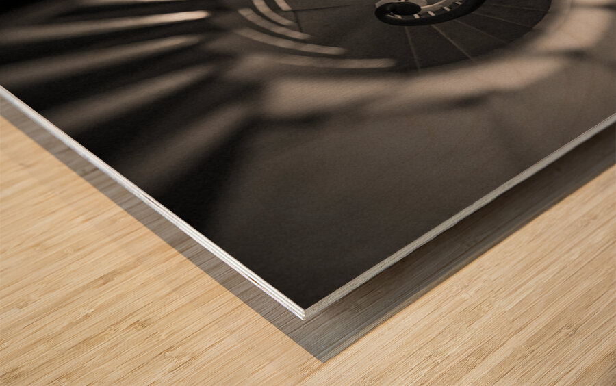 Plas Newydd Spiral Staircase Wood print