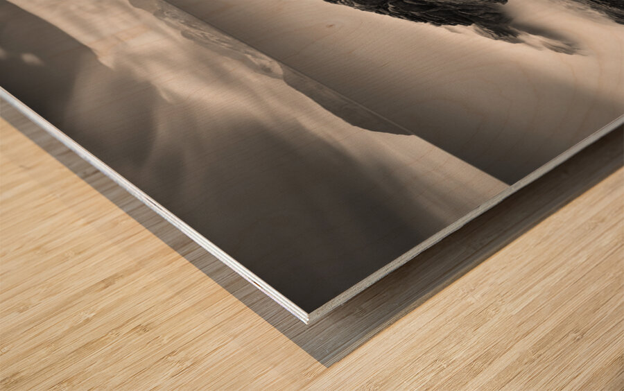 Towards Arran Impression sur bois