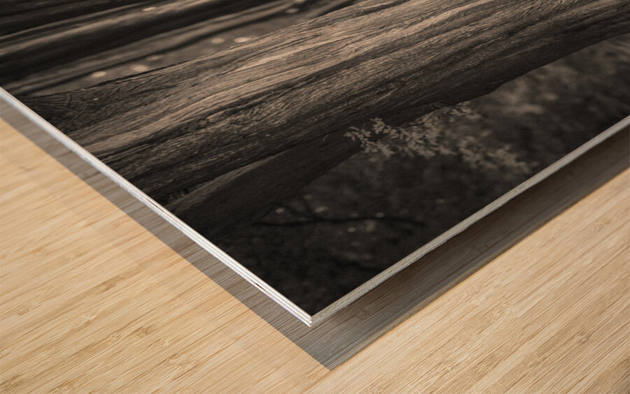 Plas Newydd Trees Impression sur bois