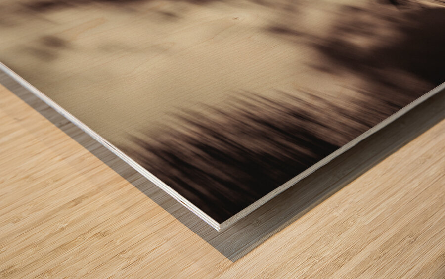 Eiffel Tower in Motion Wood print