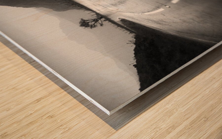 A Wet Day in Snowdonia Wood print