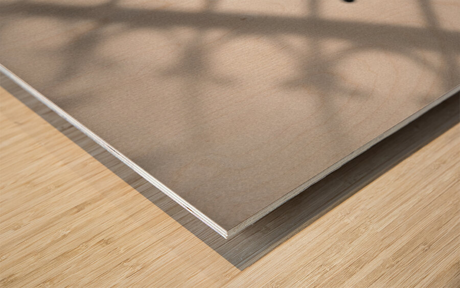 Rusty Railings Wood print