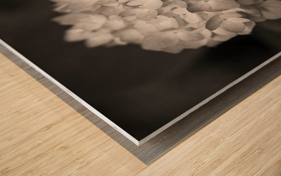 Hydrangea Wood print