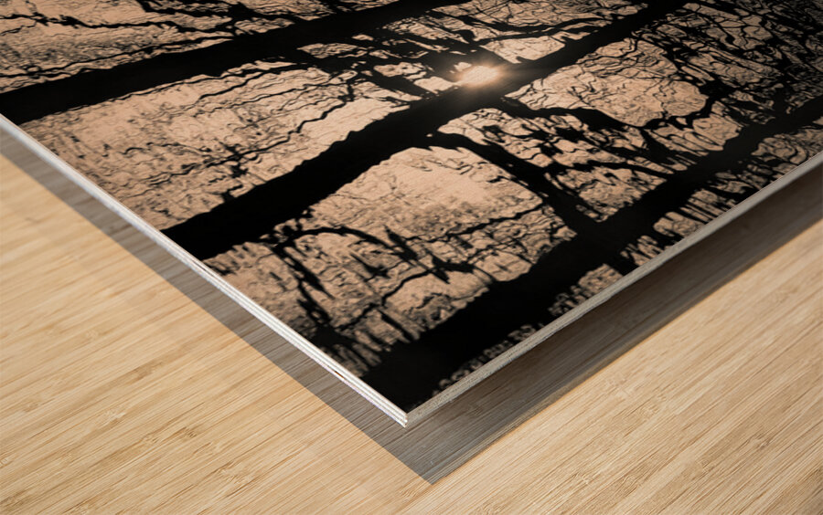 Woodland Waters Impression sur bois