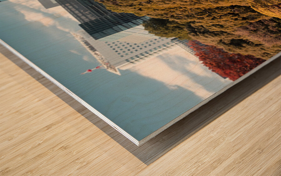 Shinjuku Gyoen National Garden Wood print