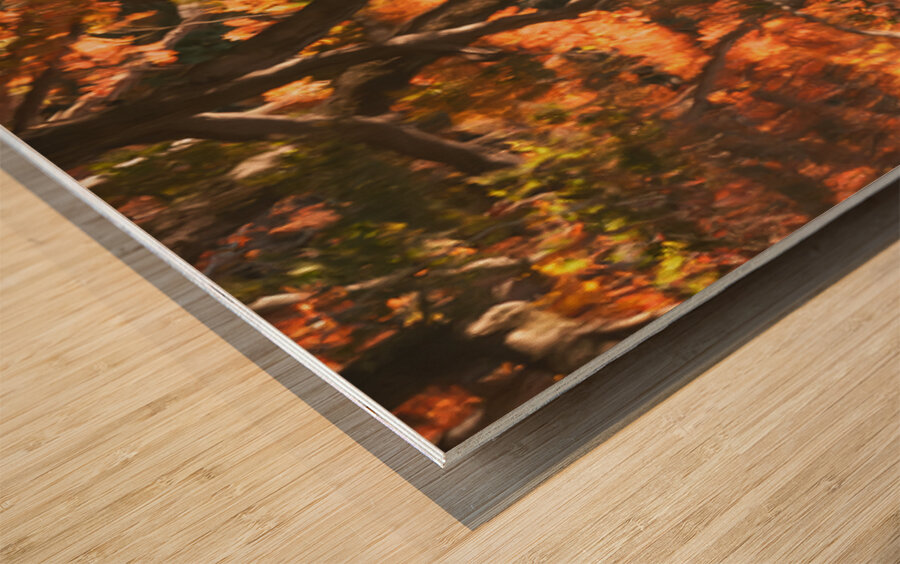 Shinjuku Gyoen Autumn Reflection Impression sur bois