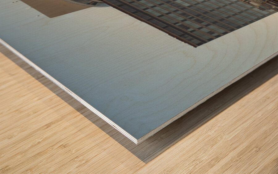 The New Otani Hotel Wood print