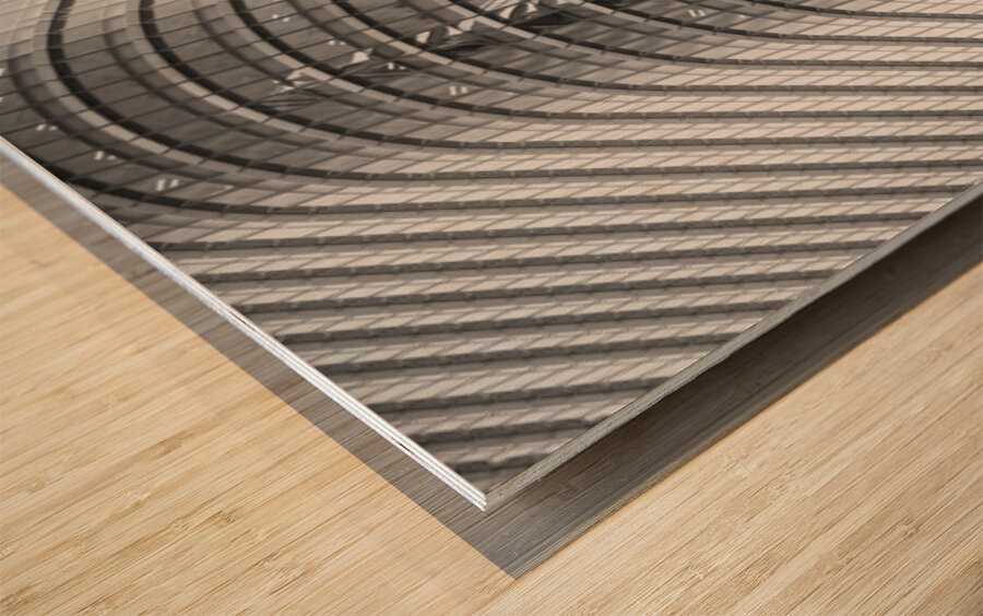 Chiyoda Reflection Wood print