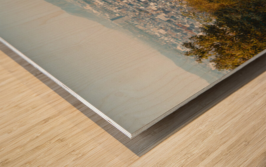 Kyoto from Fushimi Inari Taisha Impression sur bois