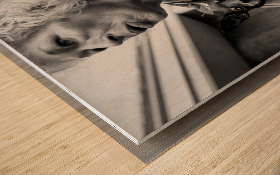 Hitchhiker Wood print