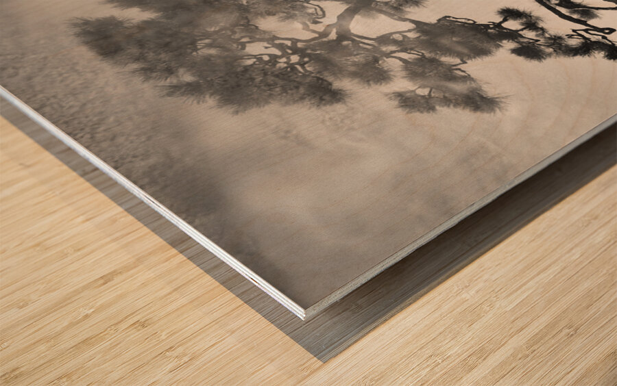 Pine Bonsai Reflection Impression sur bois