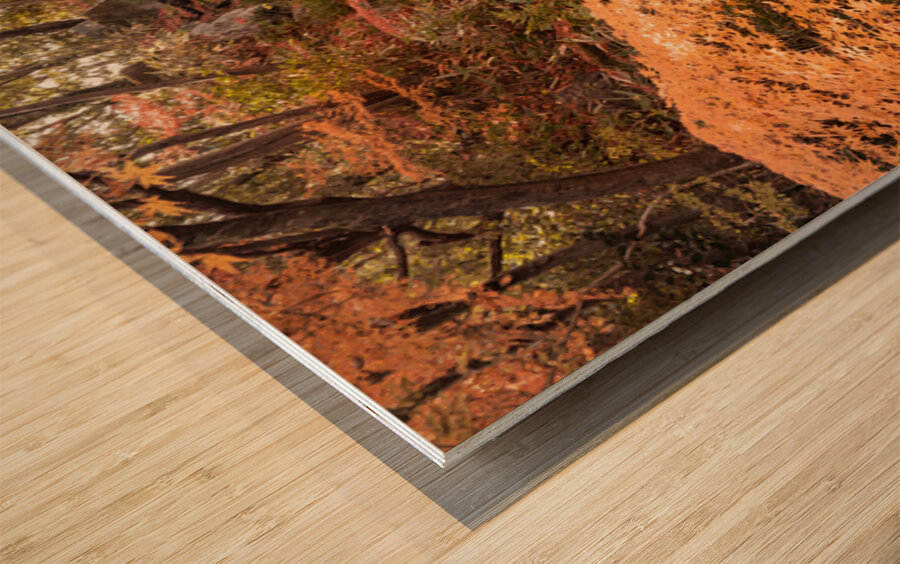 Autumn in Kokoen Garden Wood print