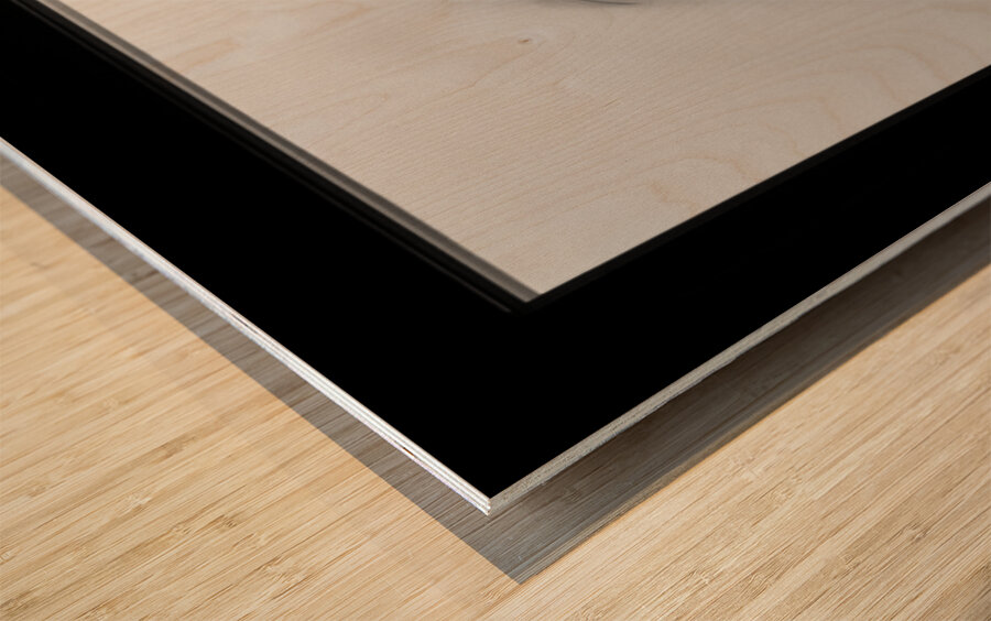 Kyoto House Plant Impression sur bois